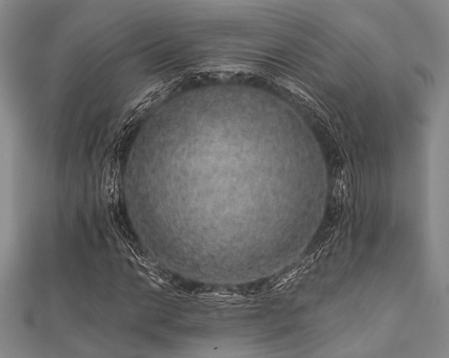 X0000112111014200908041536