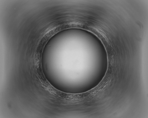 X0000112111015200908041536