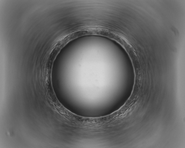 X0000112111016200908041536