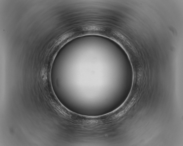 X0000112111017200908041536