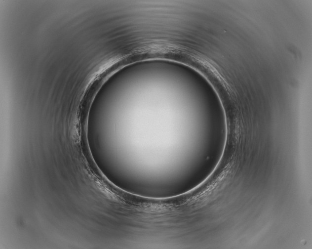 X0000112111018200908041537