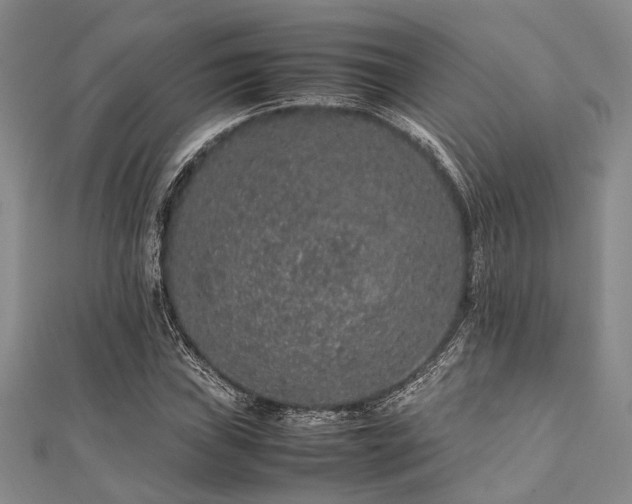 X0000112111019200908041537