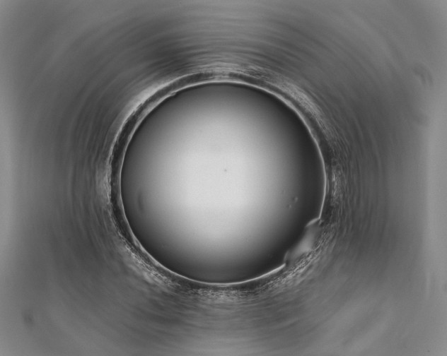 X0000112111020200908041537