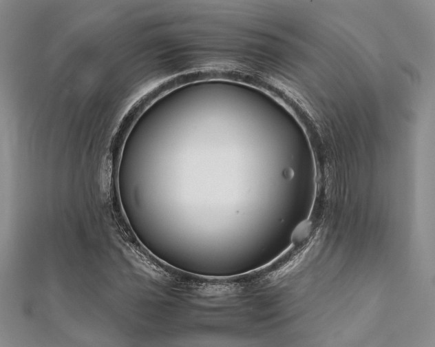 X0000112111021200908041537