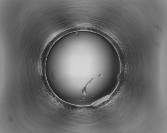 X0000112111022200908041537