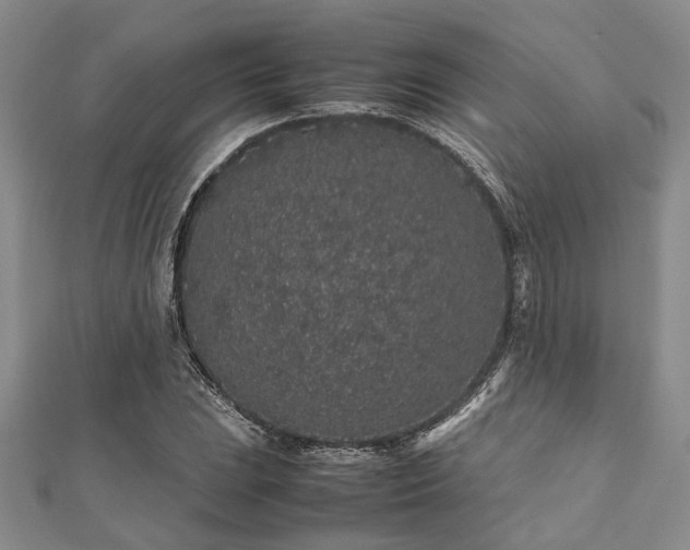 X0000112111023200908041537