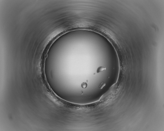 X0000112111026200908041537