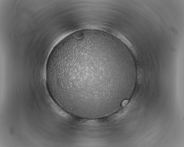 X0000112111028200908041537