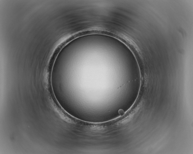 X0000112111029200908041537