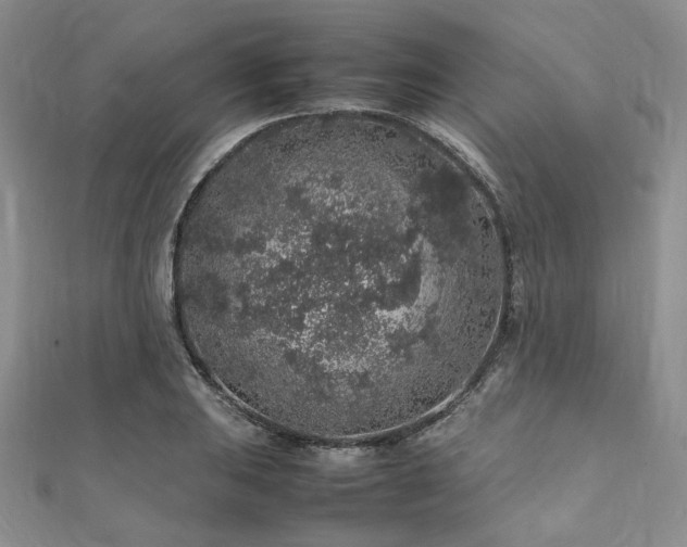 X0000112111031200908041537