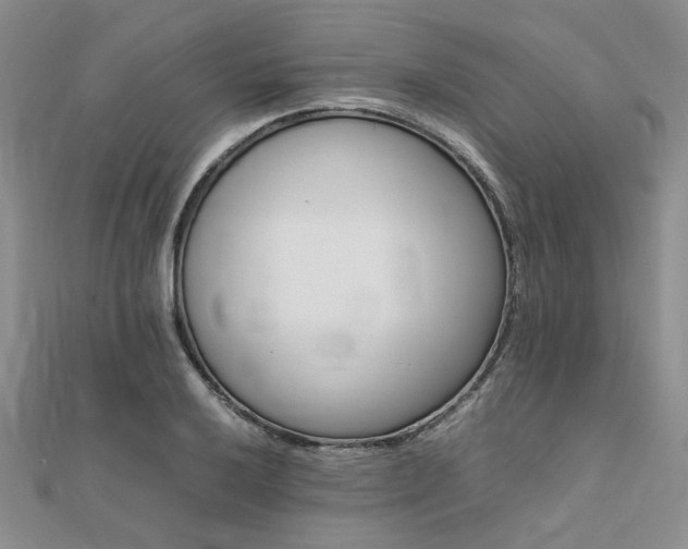 X0000112111032200908041537