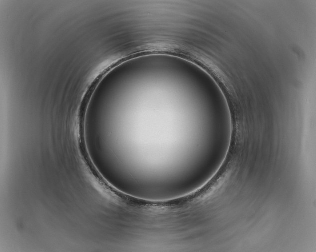 X0000112111034200908041537