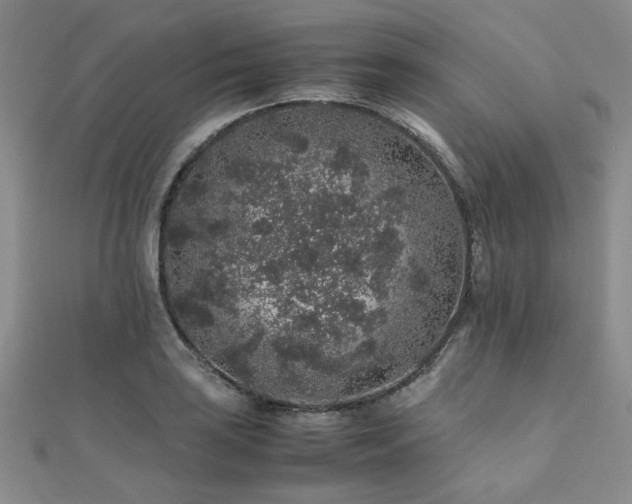 X0000112111035200908041537