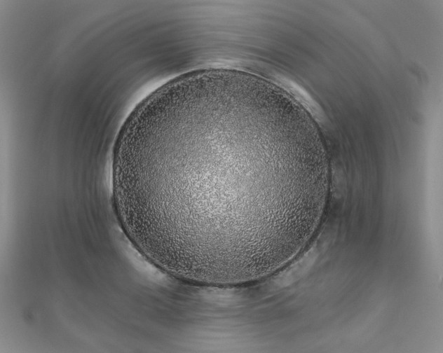 X0000112111036200908041537