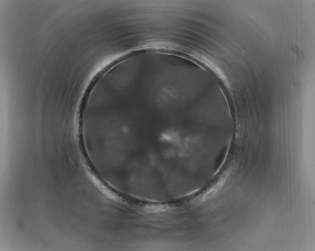 X0000112111037200908041537