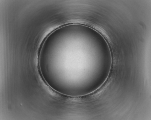 X0000112111040200908041537