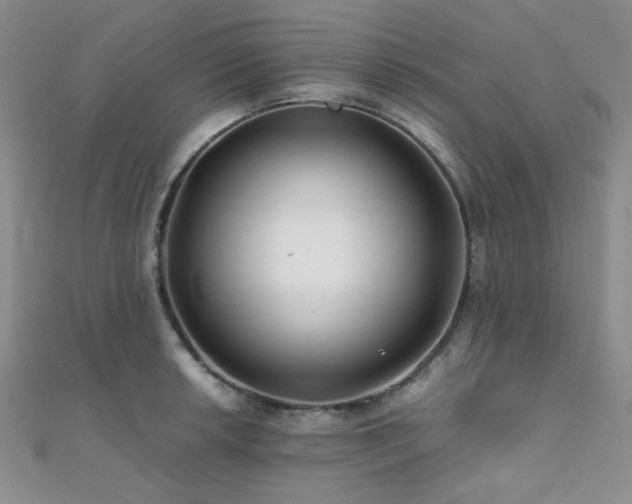 X0000112111042200908041537