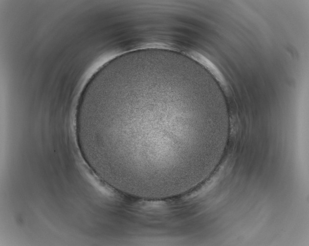 X0000112111043200908041537