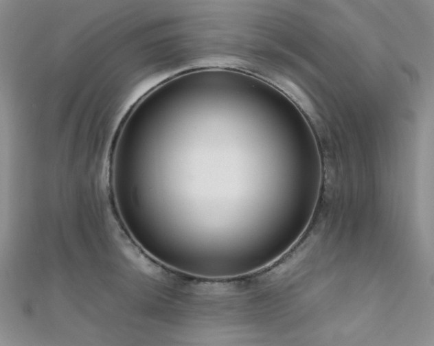 X0000112111044200908041537