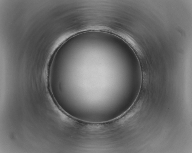 X0000112111046200908041537