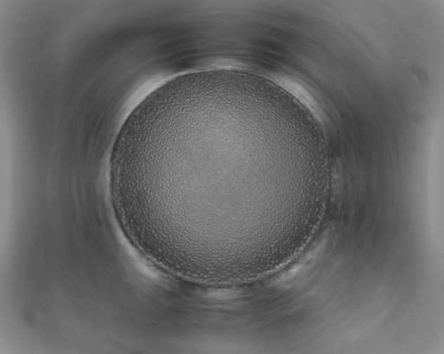 X0000112111047200908041537