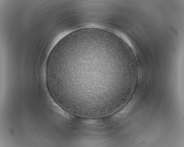 X0000112111048200908041537