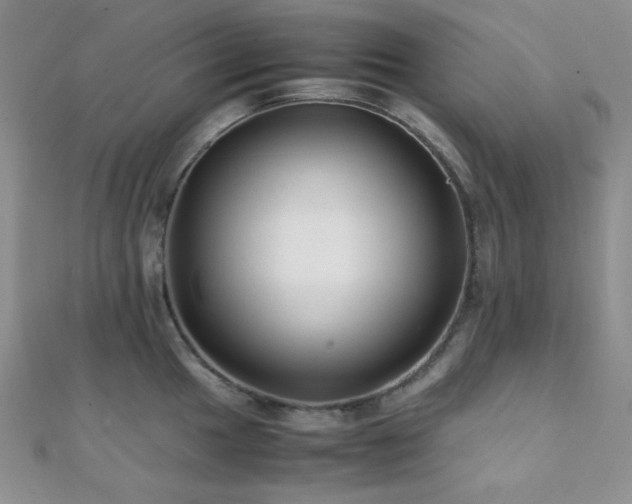 X0000112111049200908041537