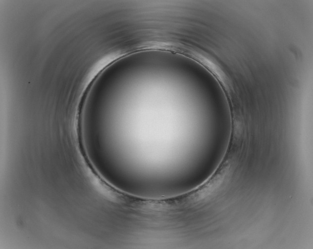 X0000112111050200908041537