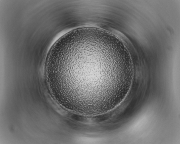 X0000112111052200908041537