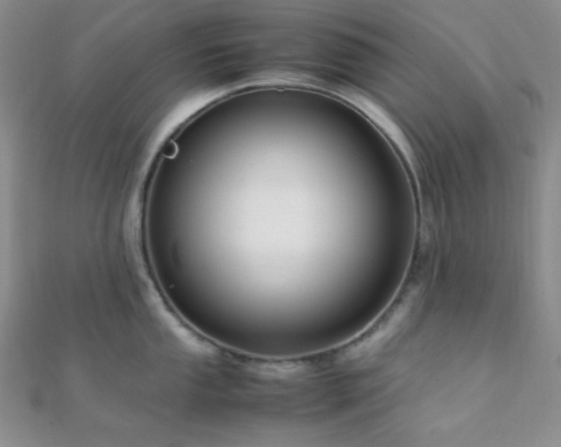 X0000112111053200908041537