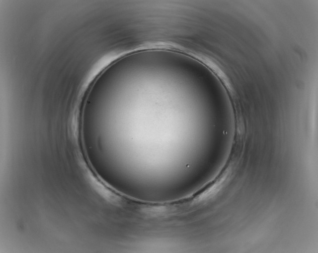 X0000112111054200908041537