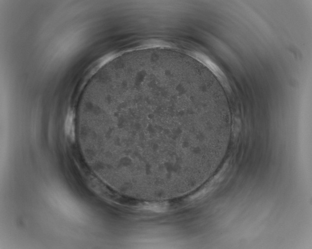 X0000112111055200908041537