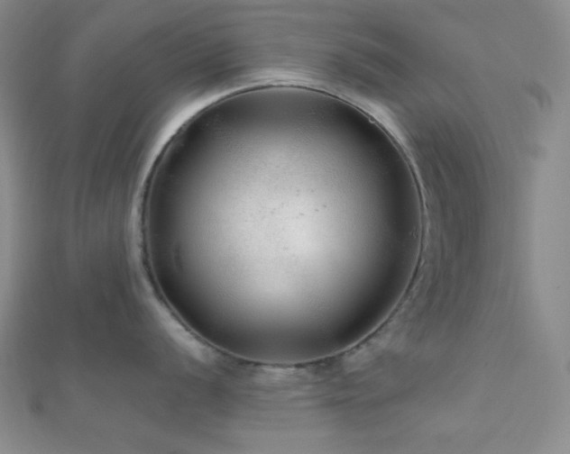 X0000112111056200908041537