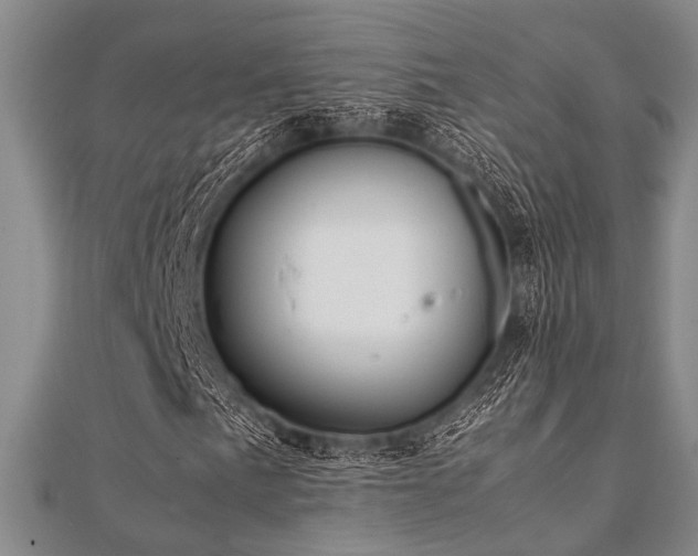 X0000112111057200908041536