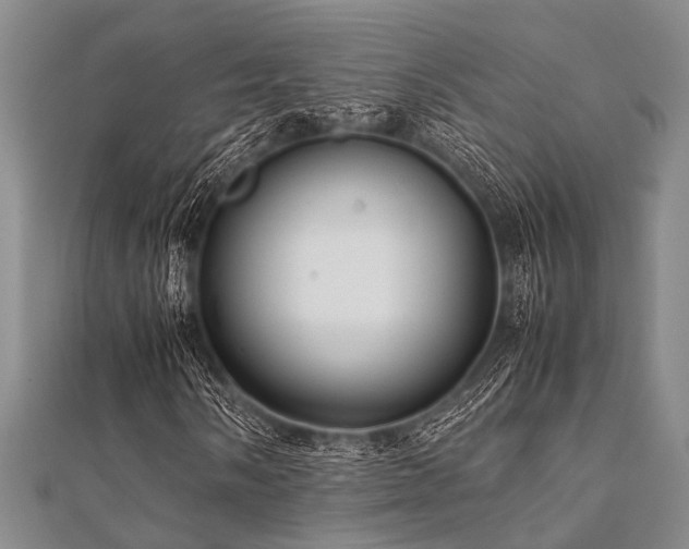 X0000112111058200908041536