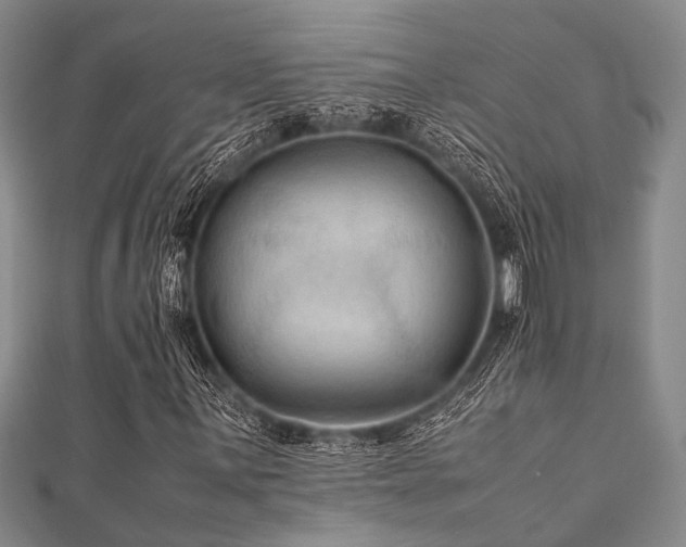 X0000112111059200908041536