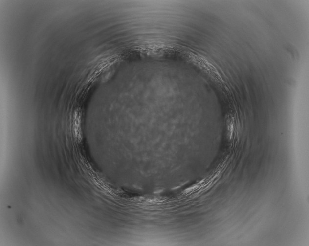 X0000112111060200908041536