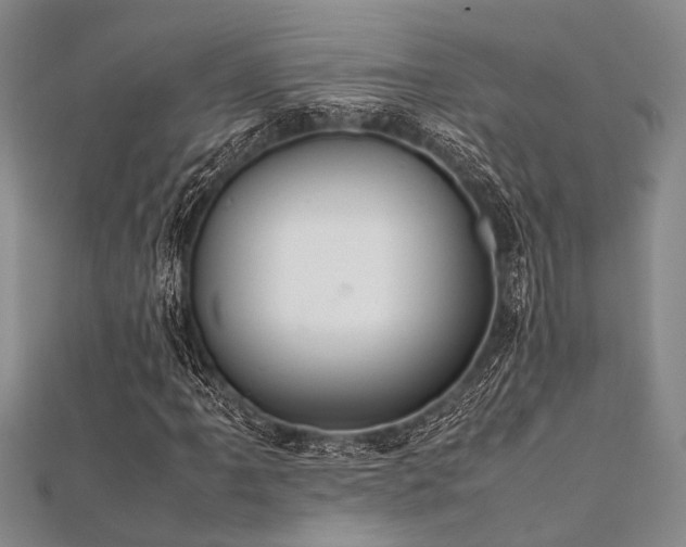 X0000112111061200908041536