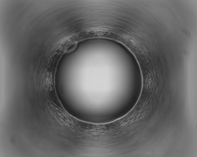 X0000112111062200908041536