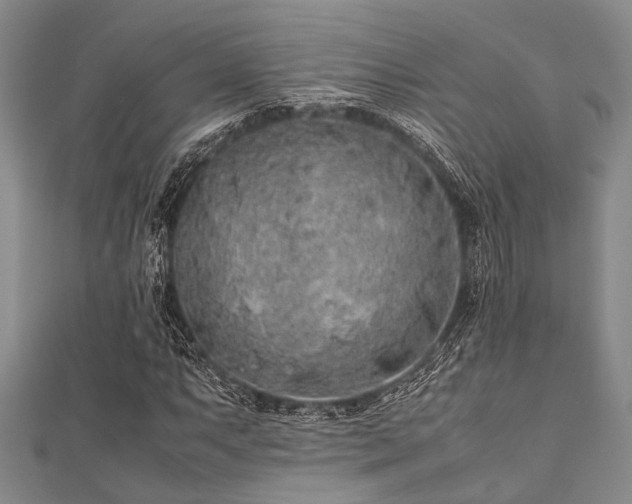 X0000112111063200908041536