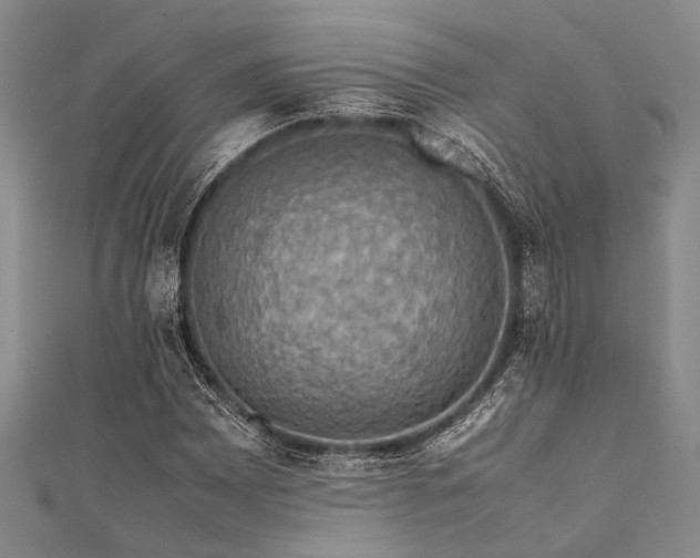 X0000112111065200908041536