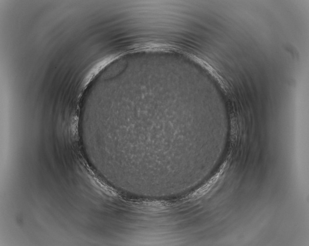 X0000112111066200908041536