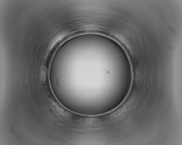 X0000112111067200908041536