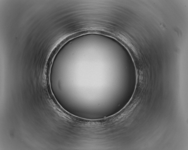 X0000112111068200908041536