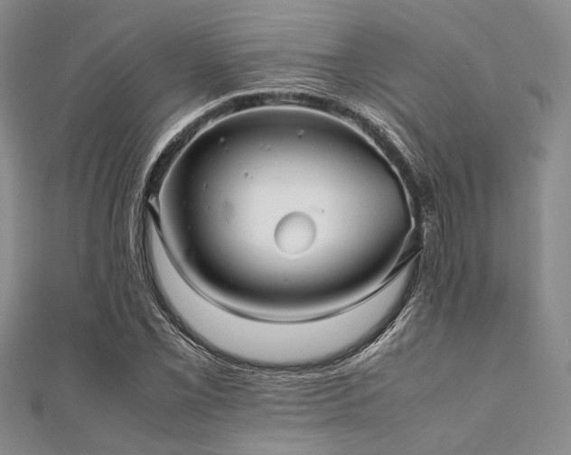 X0000112111069200908041536