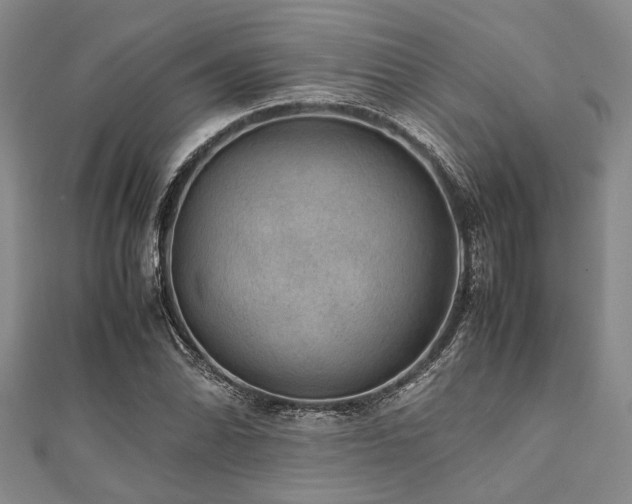 X0000112111070200908041536