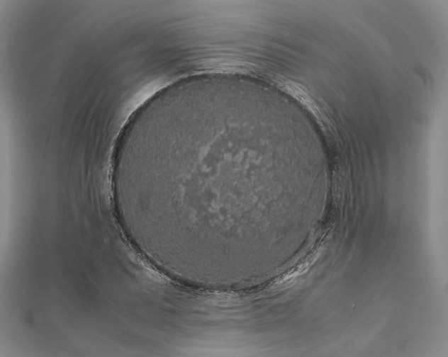 X0000112111071200908041536