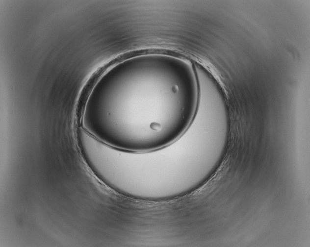 X0000112111072200908041536