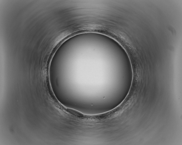 X0000112111073200908041536