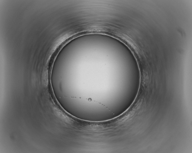 X0000112111075200908041536